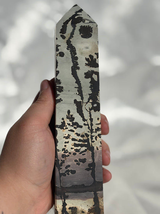 Picture Jasper Tower