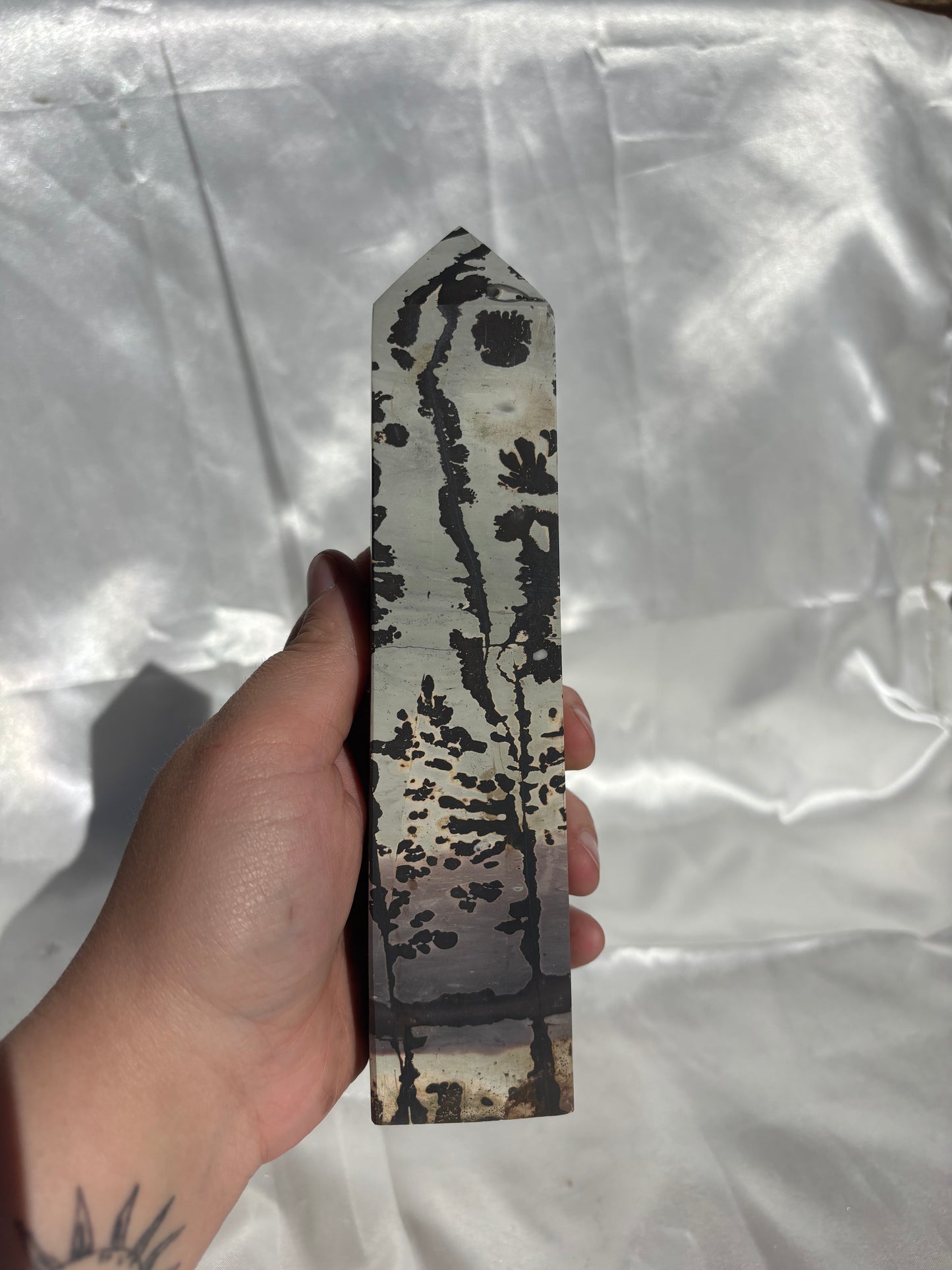 Picture Jasper Tower