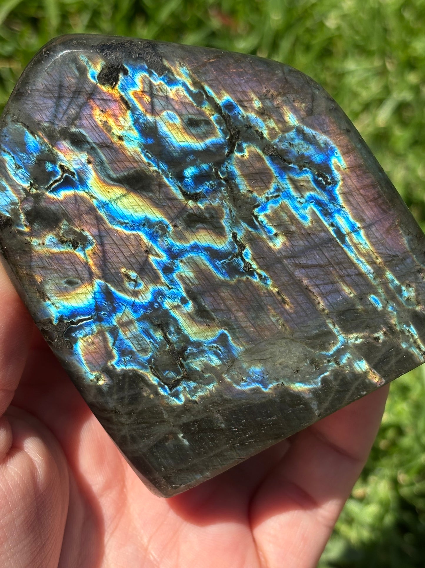 Spectrolite Labradorite Freeform