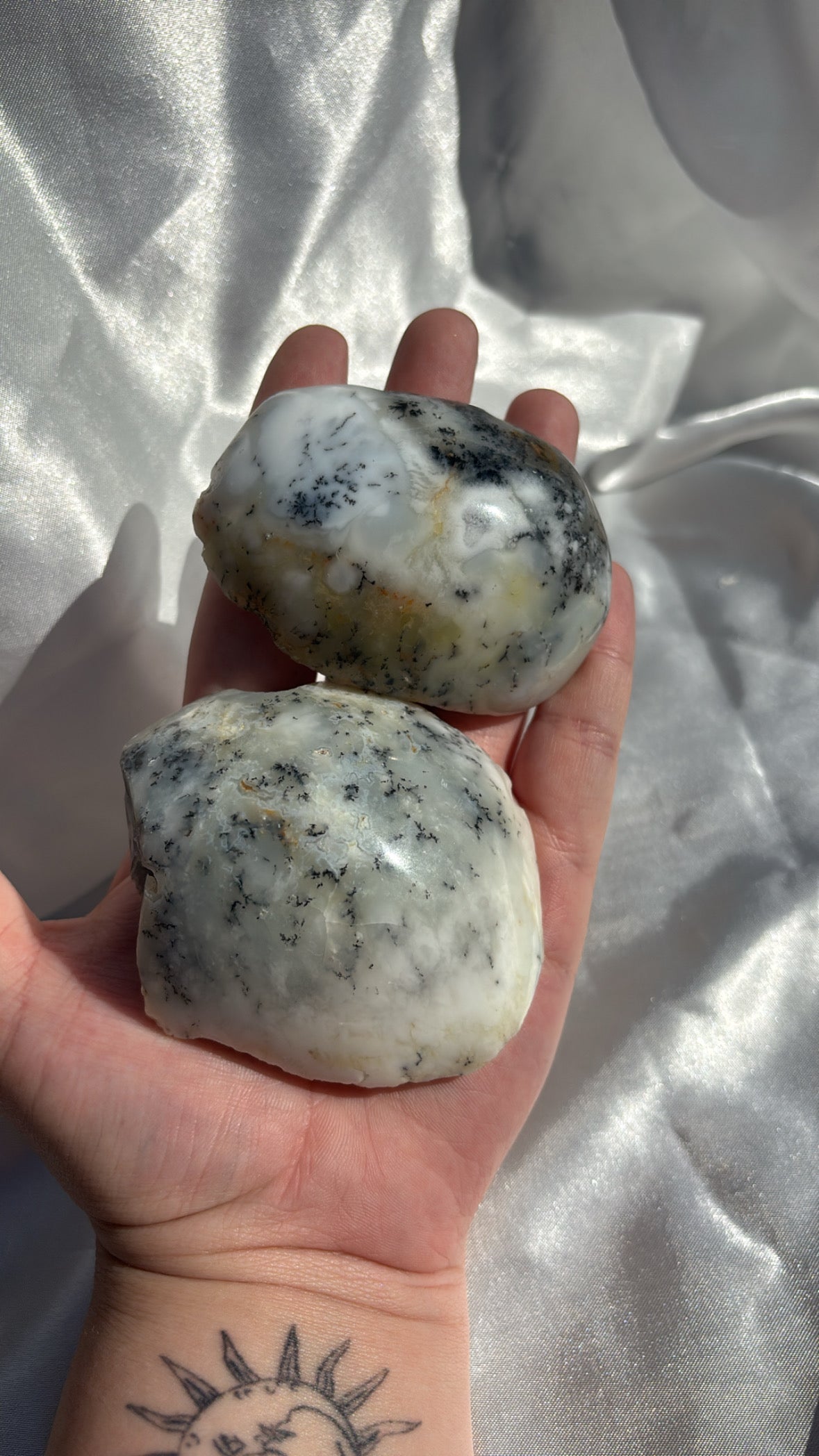 Dendritic Opal Half Polished Raw