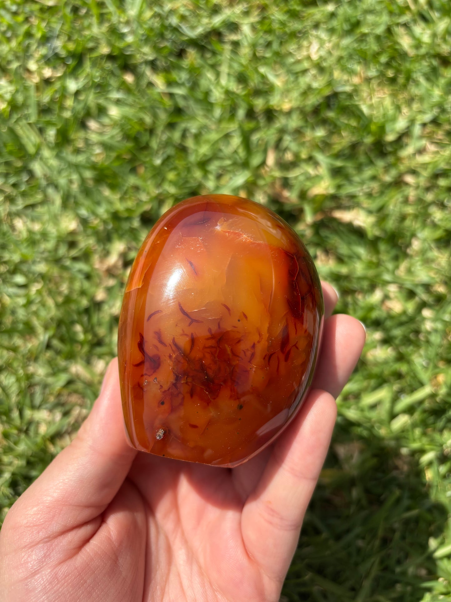 Carnelian Freeform