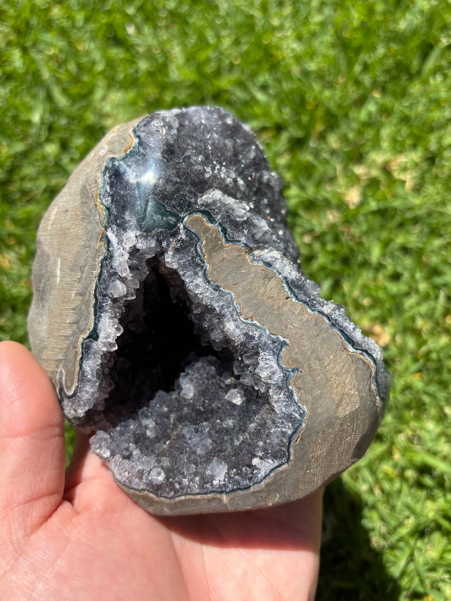 Dark Purple/Blackish Cluster Freeform