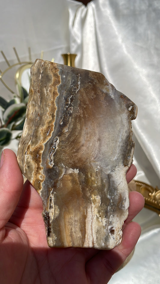 Ocean Jasper Slice