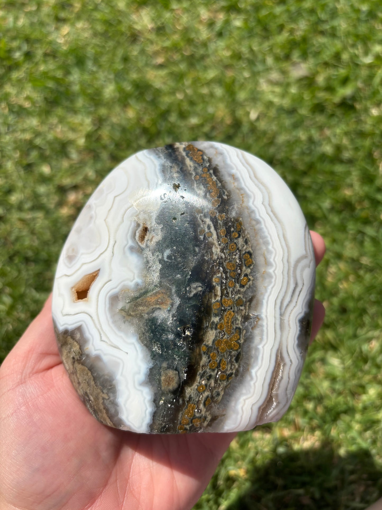 Ocean Jasper Freeform
