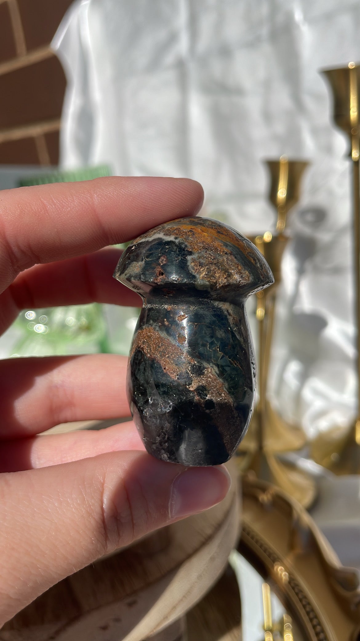 Ocean Jasper Mushroom